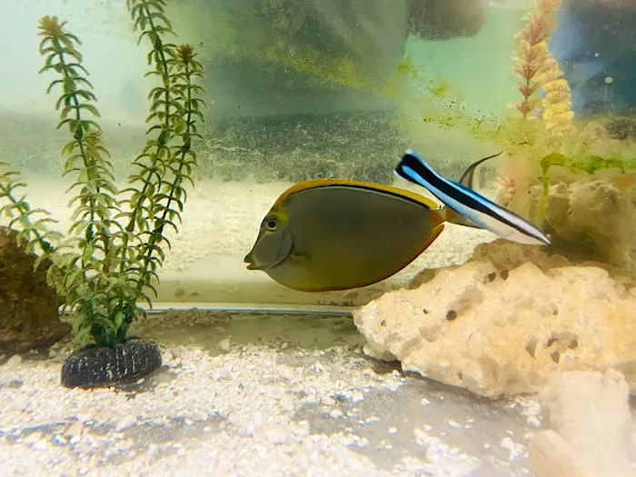 The Fish Store Picture 8