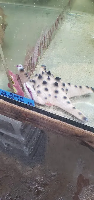 The Fish Store Picture 9