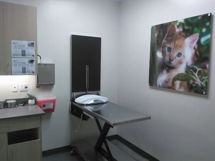 Vetco Total Care Animal Hospital Picture 2