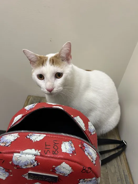 Vetco Total Care Animal Hospital Picture 3