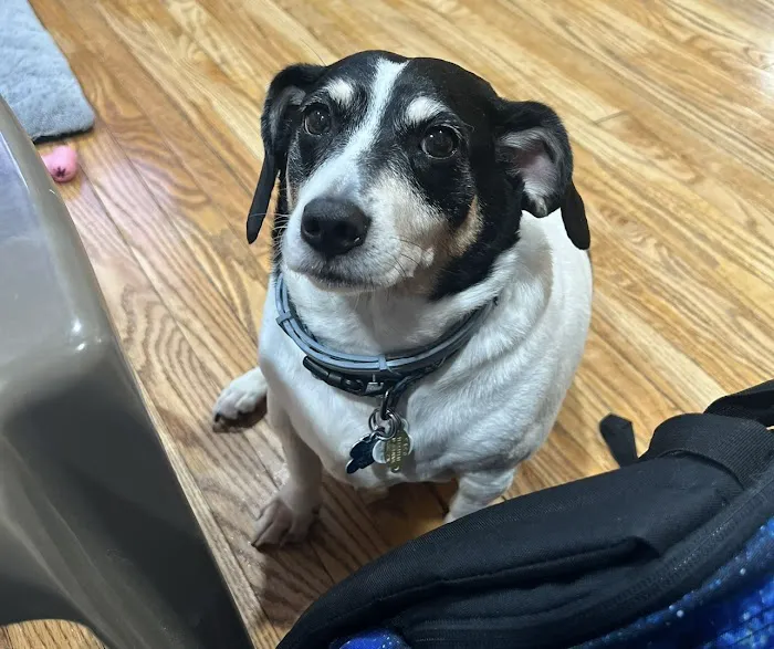 Vetco Total Care Animal Hospital Picture 9