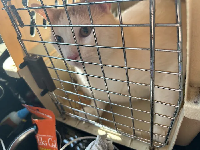Vetco Total Care Animal Hospital Picture 4