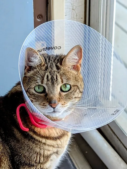 Maywood Veterinary Clinic Picture 6