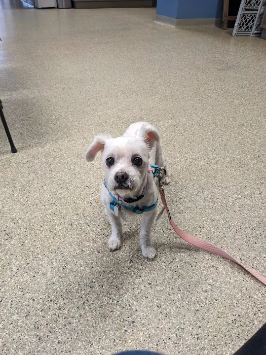 Maywood Veterinary Clinic Picture 10