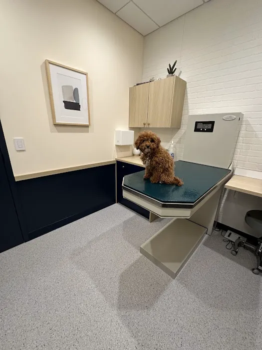 Bond Vet - Paramus Picture 2