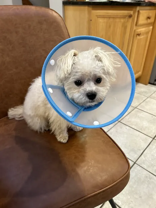 Bond Vet - Paramus Picture 1