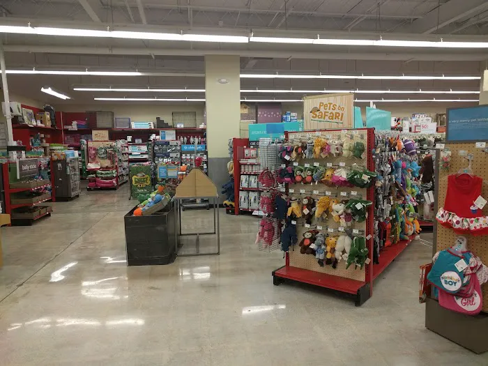 Petco Picture 5
