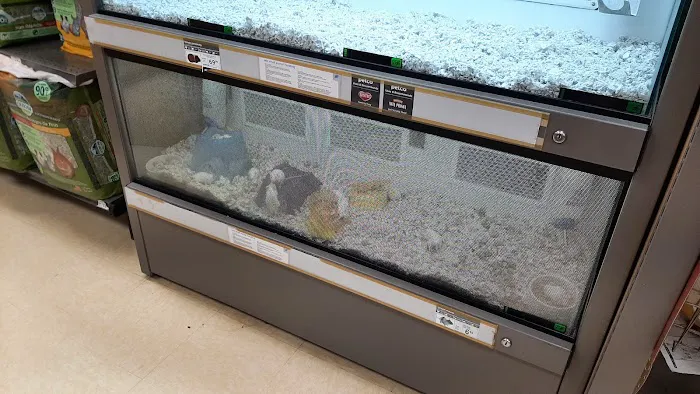 Petco Picture 3