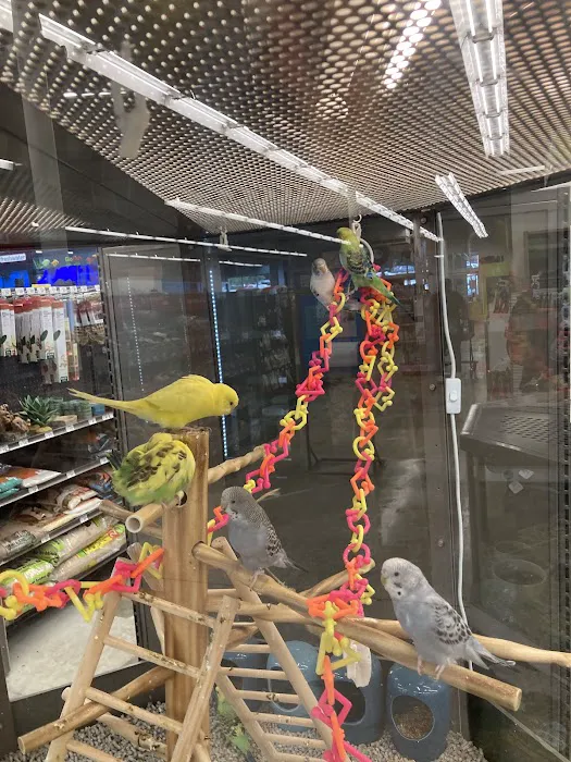 Petco Picture 4