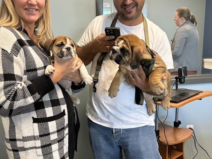 PetWellClinic - Paramus Picture 7