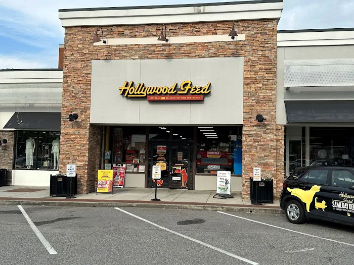 Hollywood Feed Picture 9
