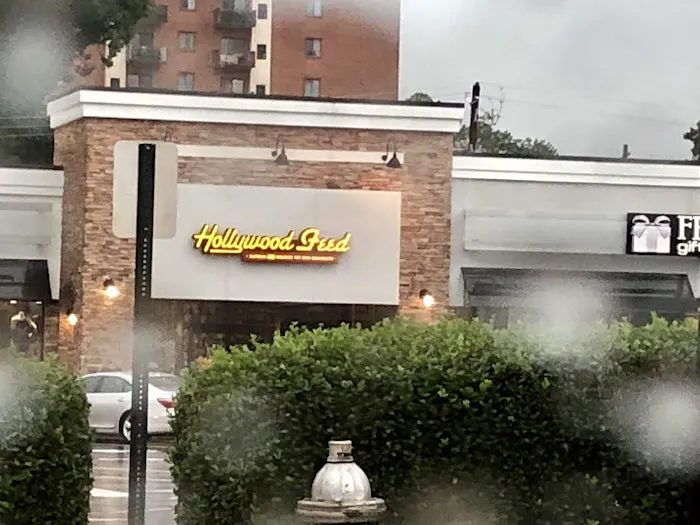 Hollywood Feed Picture 5