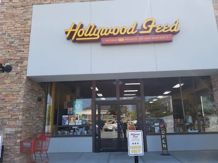 Hollywood Feed Picture 1