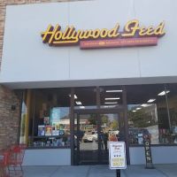 Hollywood Feed ico