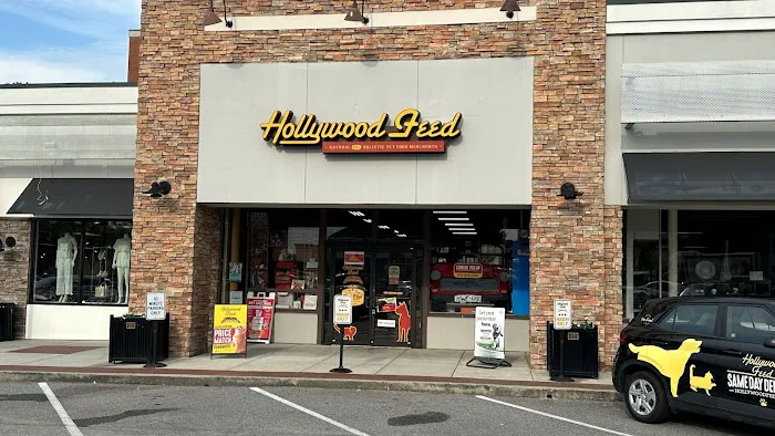 Hollywood Feed Picture 10