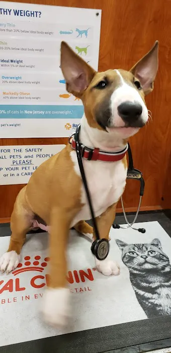 Banfield Pet Hospital Picture 3