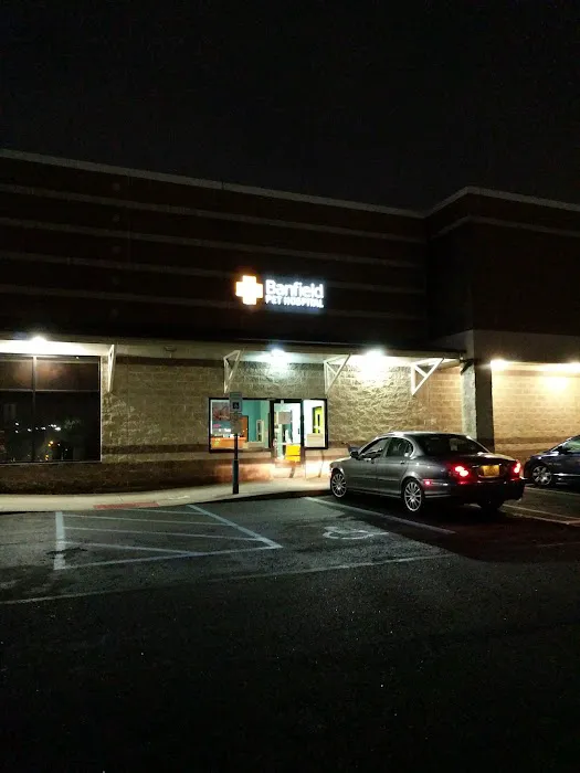 Banfield Pet Hospital Picture 9