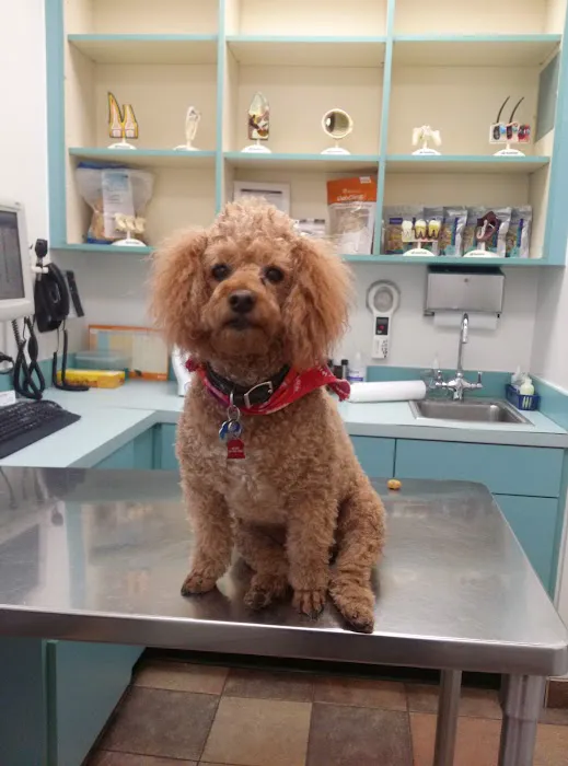Banfield Pet Hospital Picture 5