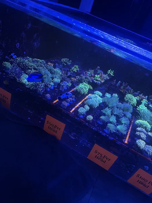 Reef Shac Picture 1