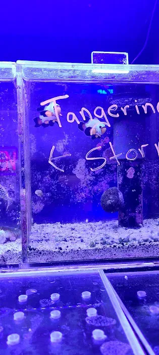 Reef Shac Picture 5