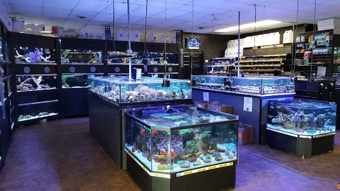 Premier Aquatics Picture 8