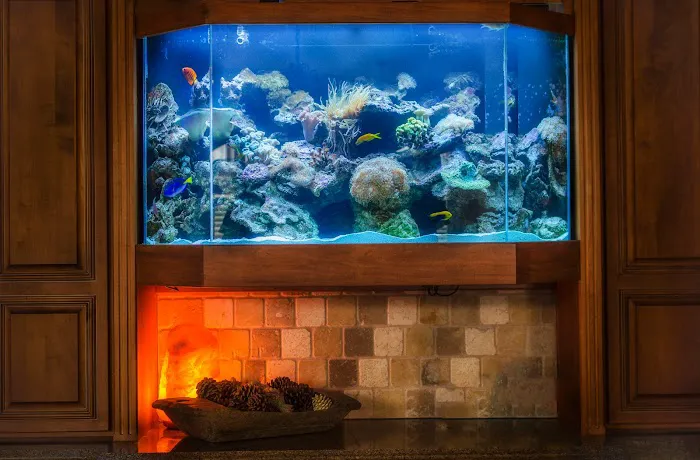 Premier Aquatics Picture 1