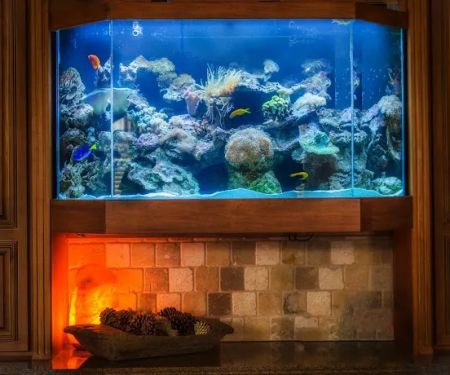 Premier Aquatics