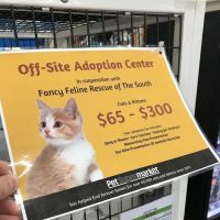 Pet Supermarket ico