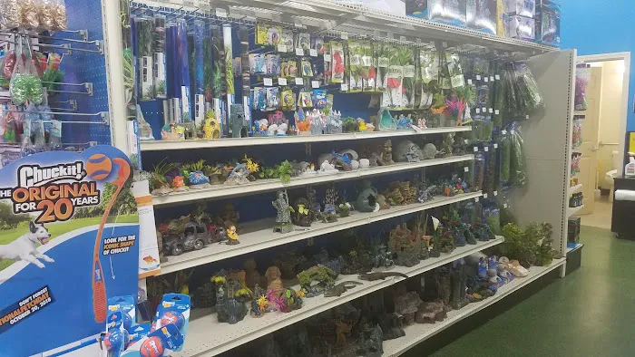 Pet Supermarket Picture 5