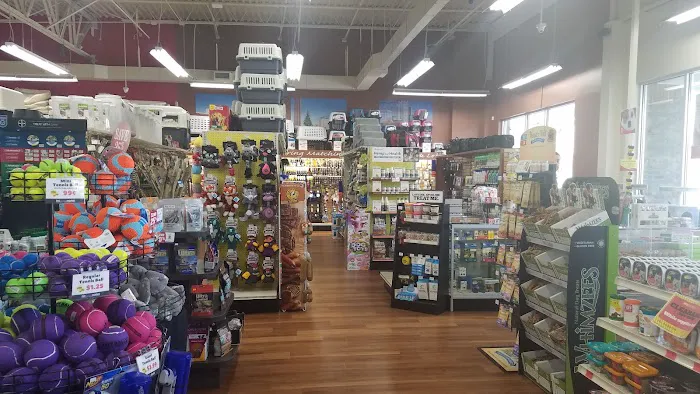 Pet Supermarket Picture 4