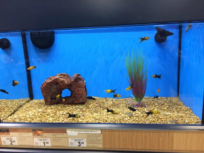 Petco Picture 8