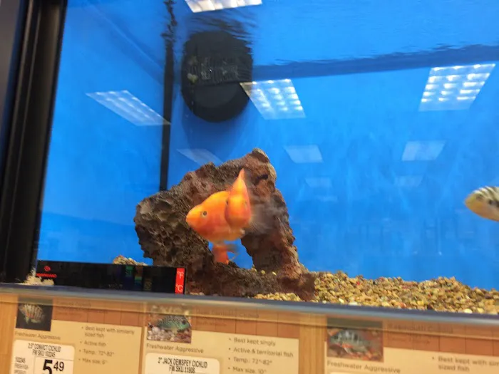 Petco Picture 6