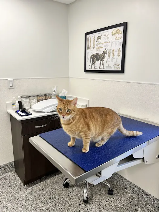 Veterinaire Pet Care Picture 4
