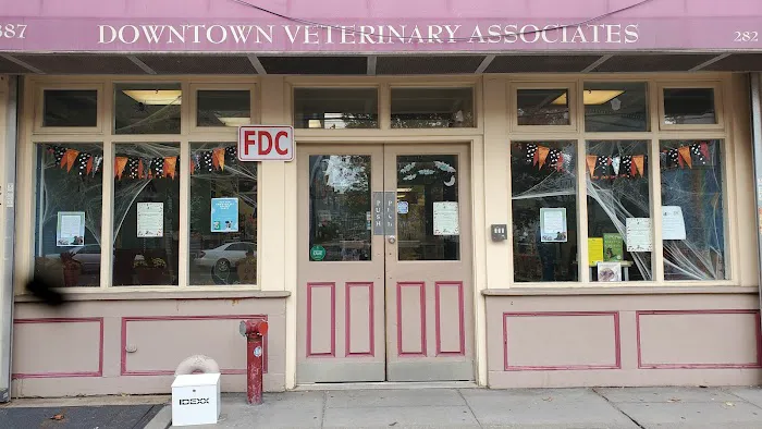 Downtown Veterinary Associates Picture 6