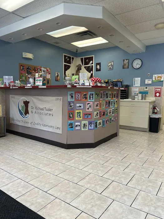 Downtown Veterinary Associates Picture 4