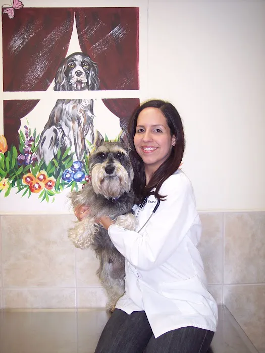 Downtown Veterinary Associates Picture 3