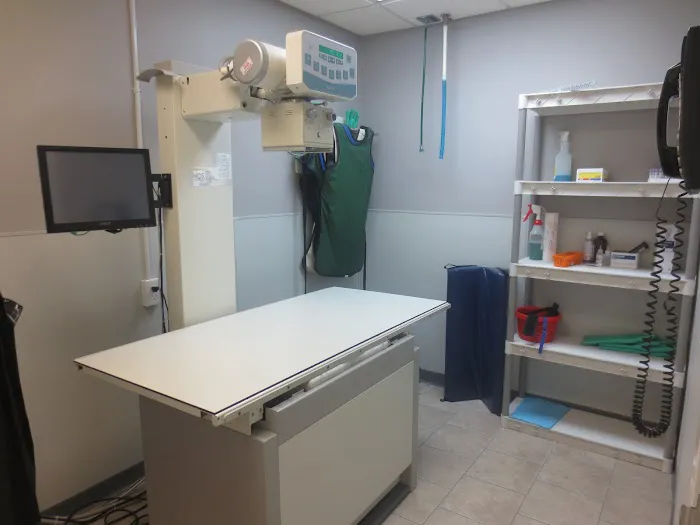 Downtown Veterinary Associates Picture 2