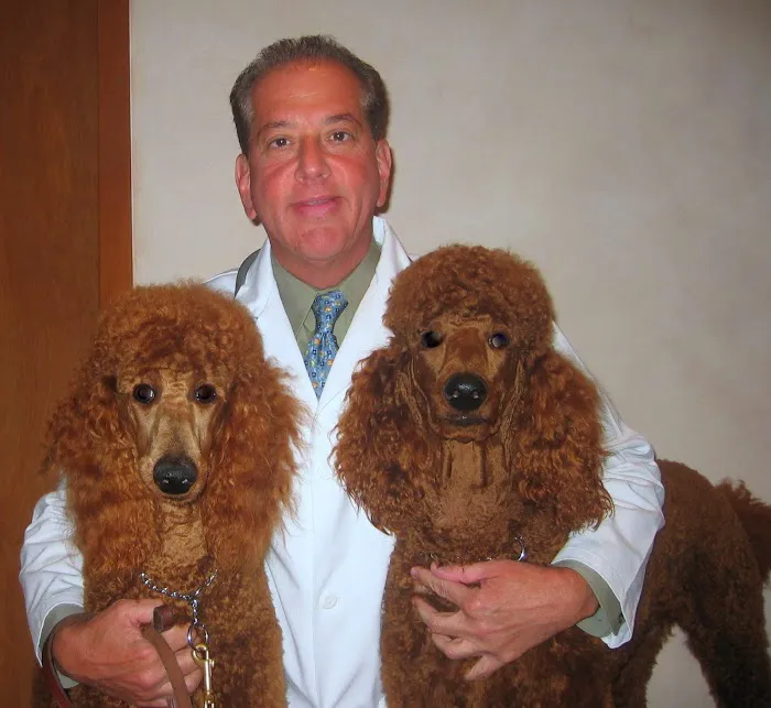 Downtown Veterinary Associates Picture 9