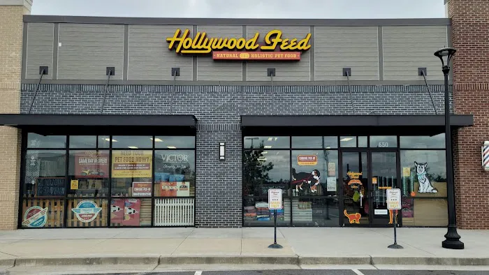 Hollywood Feed Picture 8