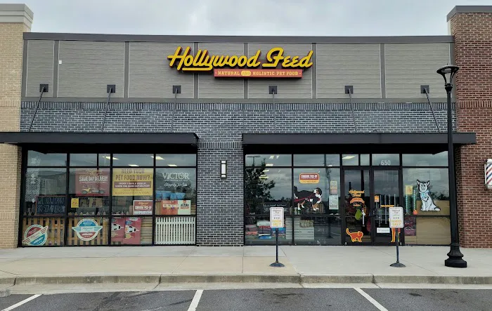 Hollywood Feed Picture 10