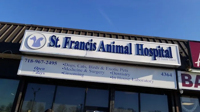 St Francis Animal Hospital Picture 4