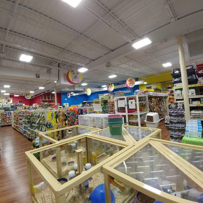 Pet Supermarket Picture 5