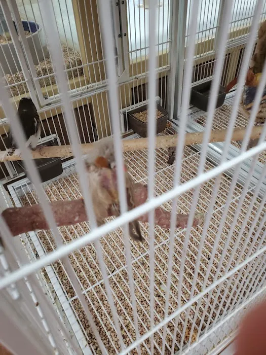 Pet Supermarket Picture 9