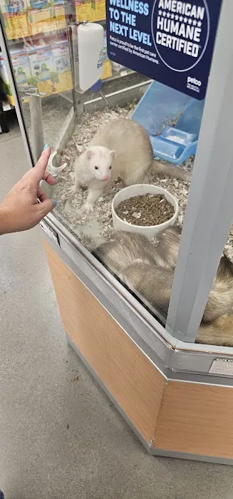 Petco Picture 10