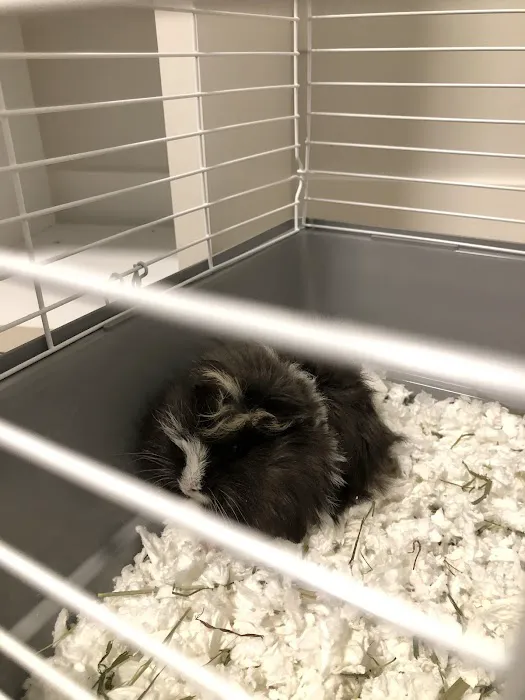 Petco Picture 6
