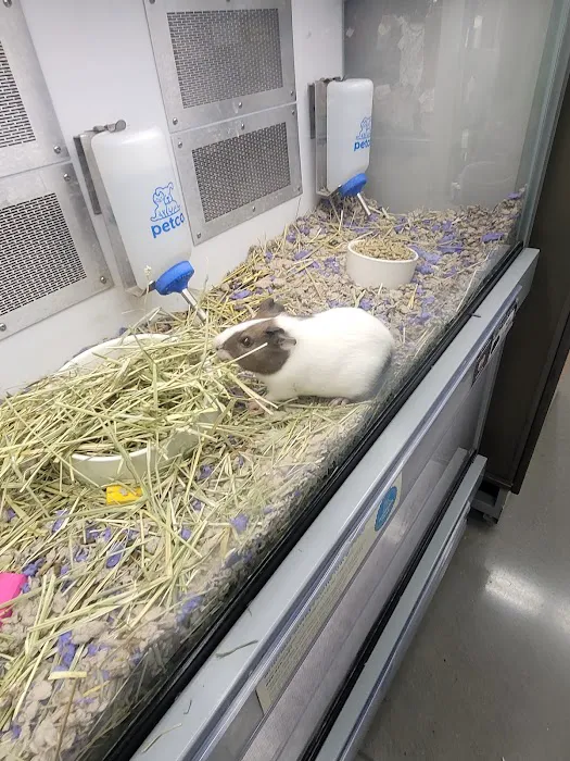 Petco Picture 7