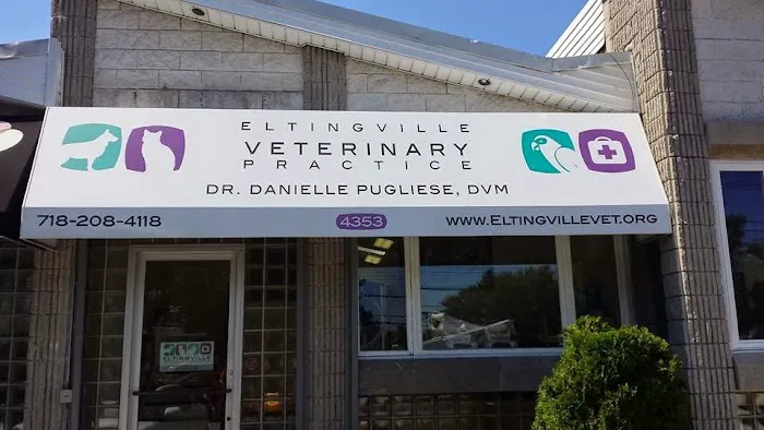 Eltingville Veterinary Practice Picture 3
