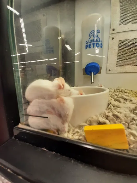 Petco Picture 1