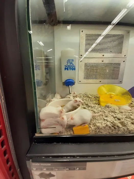 Petco Picture 2