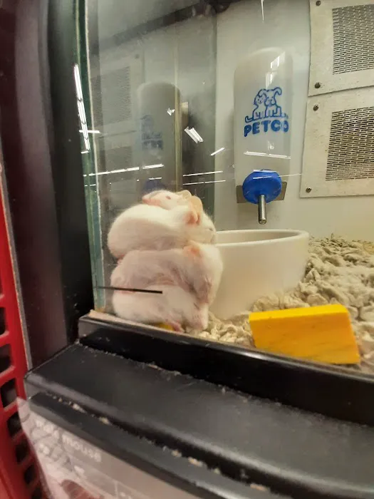 Petco Picture 3
